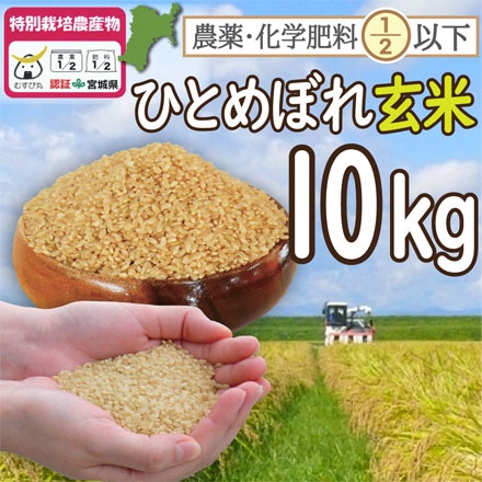 玄米 宮城登米産 ひとめぼれ 10kg （宮城県認証 農薬・化学肥料節減米） 令和3年産