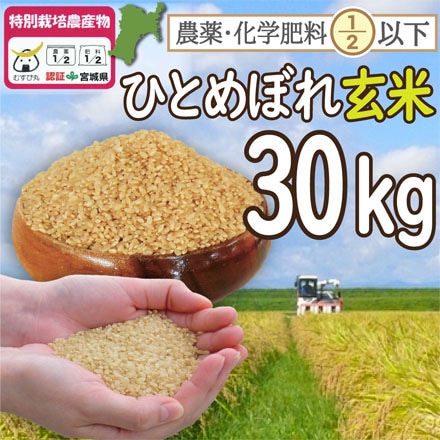 玄米 宮城登米産 ひとめぼれ 30kg （宮城県認証 農薬・化学肥料節減米） 令和3年産