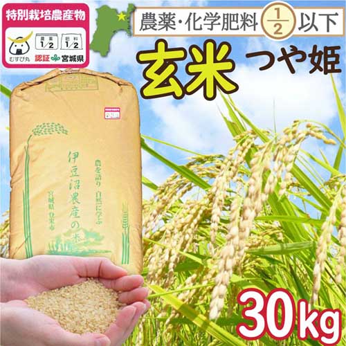 玄米 宮城県登米市産 特別栽培米 つや姫 30kg （ 宮城県認証 農薬・化学肥料節減米 ） 令和6年産