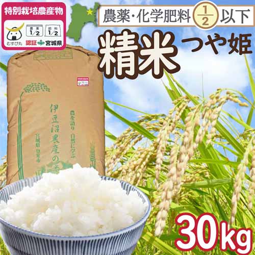 精米 宮城県登米市産 特別栽培米 つや姫 30kg 白米 （ 宮城県認証 農薬・化学肥料節減米 ） 令和6年産