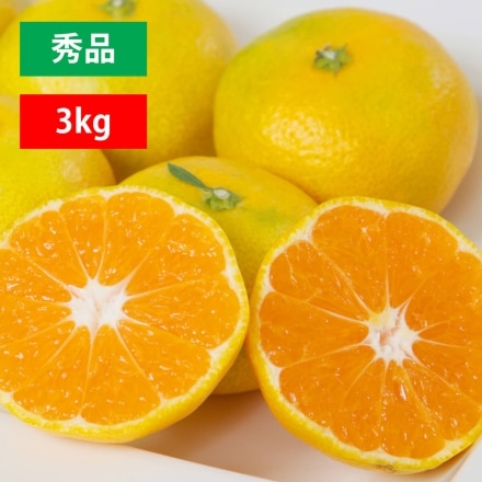 極早生秀品3kg