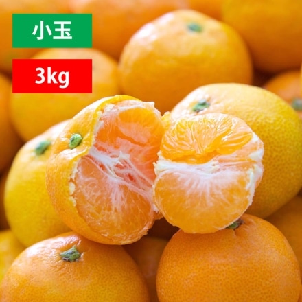 極早生小玉3kg