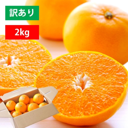 【2025年2月下旬出荷予定】訳あり 愛媛産 せとか 2kg