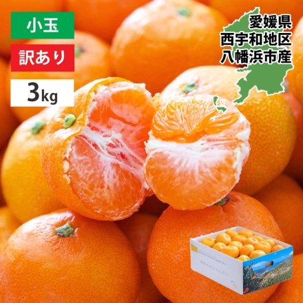 愛媛みかん小玉3kg