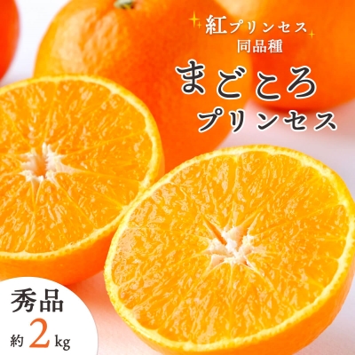 【2026年3月上旬より順次出荷】注目の新品種！紅プリンセスと同品種「愛媛果試48号」 秀品 2kg