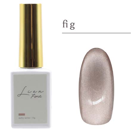 【Z080】fig