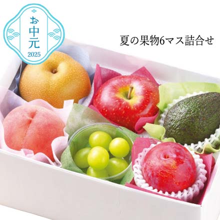 お中元 2025 夏の果物6マス詰合せ 4726-042