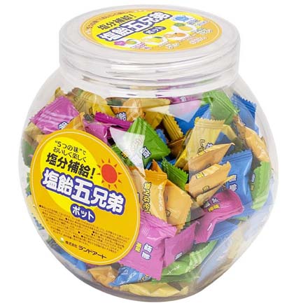 塩飴五兄弟 塩飴 飴 アメ 塩分補給 熱中症対策 ポット入り FDC