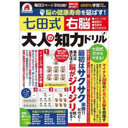 七田式 大人の知力ドリル 脳トレ 右脳