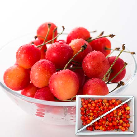 1kg