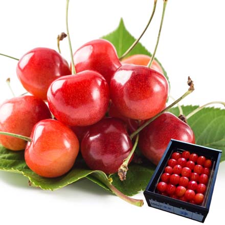 500g