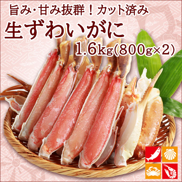 生ずわい蟹 ハーフポーション カット済み 800g×2 ( 1.6kg )