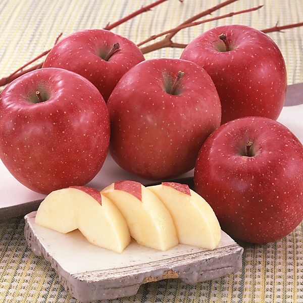 青森県産サンふじ（糖度選別）2Kg（5～9個）【販売終了日:2025年11月30日】