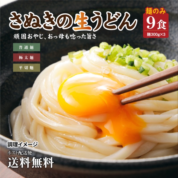 本場 讃岐生うどん 麺300g×3袋 9食セット 麺のみ