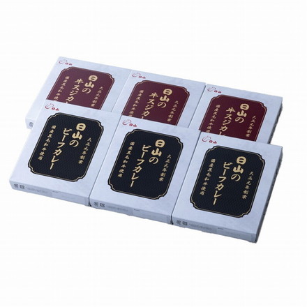 東京 人形町 「日山」 日山のカレー セット 6個 カレー ビーフカレー 牛すじカレー 牛スジカレー、ビーフカレー各200ｇ×各3