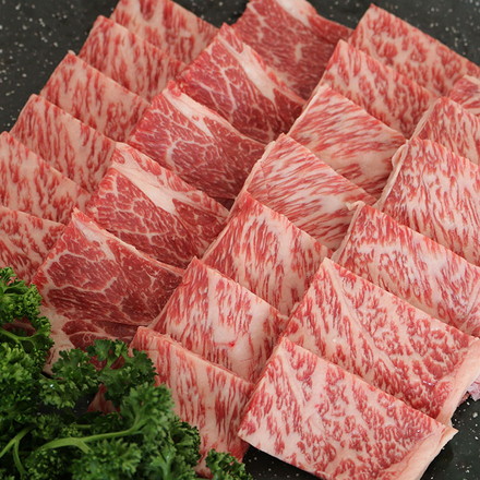 佐賀牛肩ロース焼肉 Bセット 0130548 肩ロース480g
