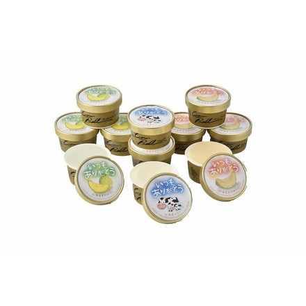 いつもありがとう北海道アイスセット バニラ80ml×3、赤肉メロン、青肉メロン80ml×各4 (計11個)