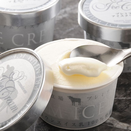 北海道 「十勝ドルチェ」 橋本牧場 プレミアムアイス 8個 100ml×8