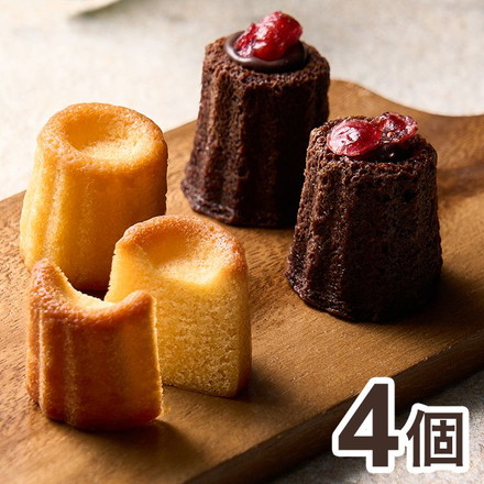 立町カヌレ監修 カヌレ・ド・フィナンシェ 4個 ショコラクランベリー フィナンシェ 焼菓子 2個 常温