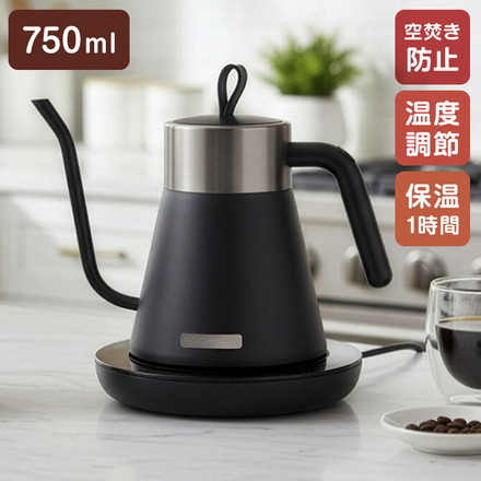 ステンレスケトル 温調付きグースネック 0.75 電気ケトル 750ml 細口ノズル 自動保温1時間 ROOMMATE RM-238TE