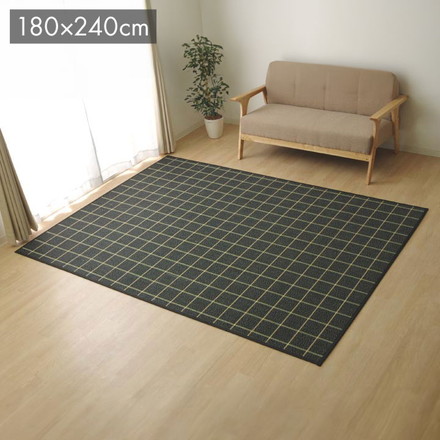 ラグ カーペット バンブー 竹 シンプル 『DXステラ』 ブラック 約180×240cm ステラ