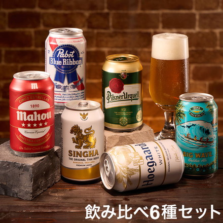 世界のビール飲み比べ6種セット