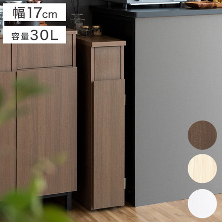 ゴミ箱 スリムダストボックス 幅17cm Santia サンティア プッシュ式 30リットル ワンプッシュ ホワイト