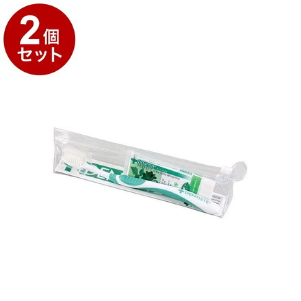 【単品2セット】 デンティス トラベルセット 20g