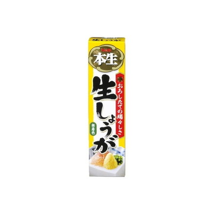 【単品10個セット】 S&B エスビー 本生 生しょうが 40gx