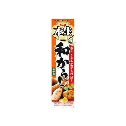 【単品10個セット】 S&B エスビー 本生 和からし 43g