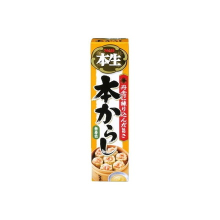 【単品10個セット】 S&B エスビー 本生 本からし 43g