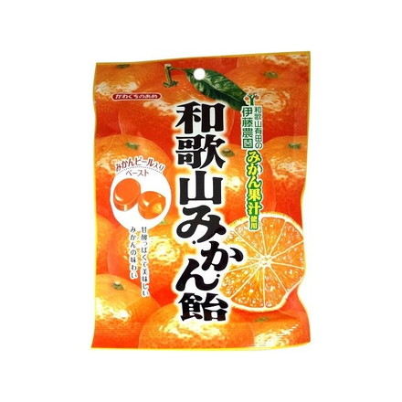 【単品10個セット】 川口 和歌山みかん飴 100gx10 まとめ買い まとめ売り お徳用 大容量 セット販売
