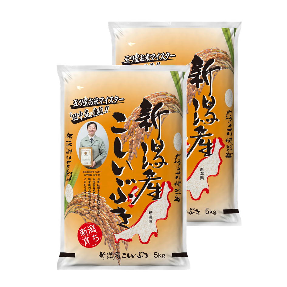 新潟県産 こしいぶき 10kg 令和7年産