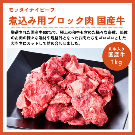 訳あり モッタイナイビーフ 煮込み用ブロック肉 国産牛 1kg（500g×2パック） 【予約商品：11月17日以降順次発送】