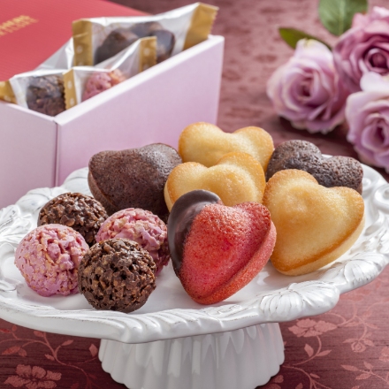 【バレンタイン/ホワイトデー】 銀座京橋 レ ロジェ エギュスキロール フィナンシェ＆クランチチョコレート 計13個