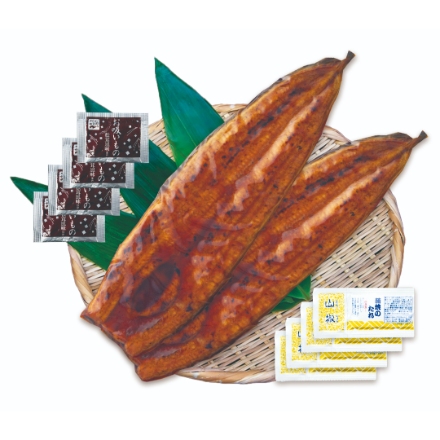 特大 鹿児島県産うなぎ蒲焼セット(永谷園お吸い物付) [うなぎの蒲焼き(250g)×2、タレ×4、永谷園お吸い物(2.3g)×4]