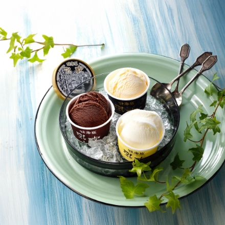 北海道 「乳蔵」 北海道プレミアムアイスクリーム3種（プレミアムバニラ、チョコ、クリームチーズ各3）計9個