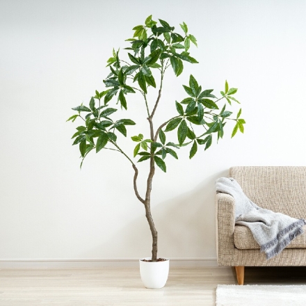 人工観葉植物 パキラ 光触媒 フェイクグリーン