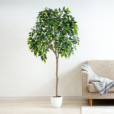 人工観葉植物 ベンジャミン 光触媒 フェイクグリーン