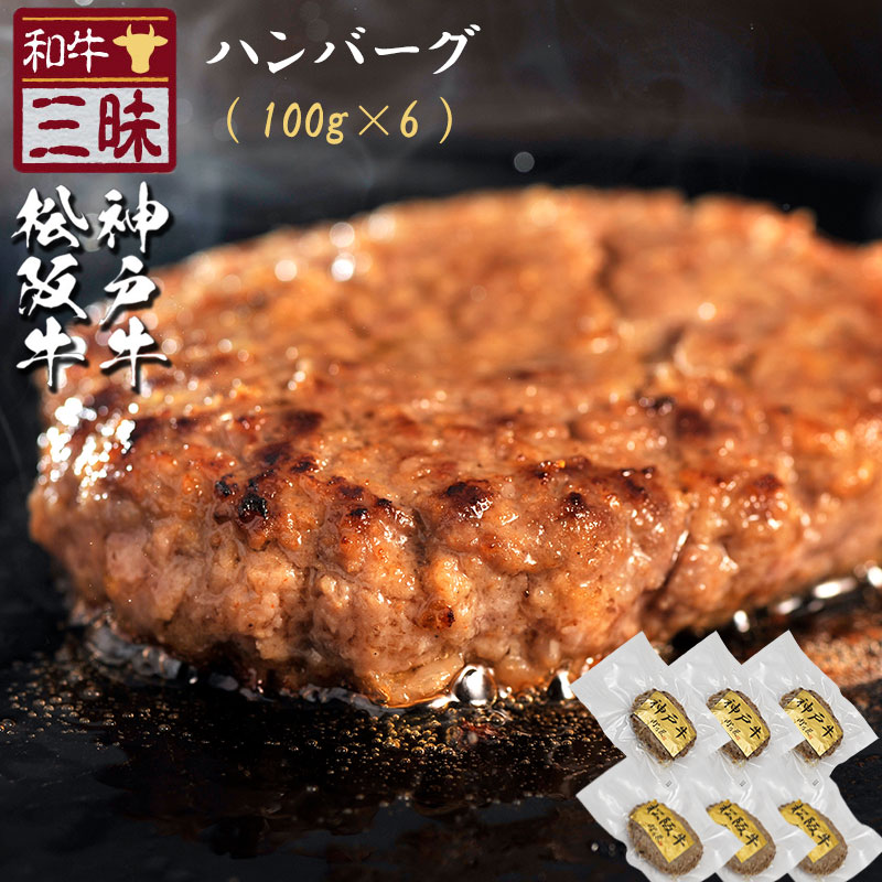 神戸牛 松坂牛 A5 A4 ハンバーグ 100g×6 紅白蝶結び 無地