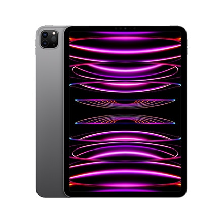 【美品】iPad Pro 11インチ 256GB スペースグレー