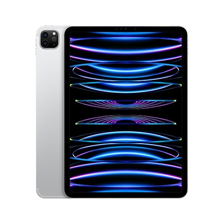 iPad Pro 11インチ　Wi-Fi＋Cellulr 256GB