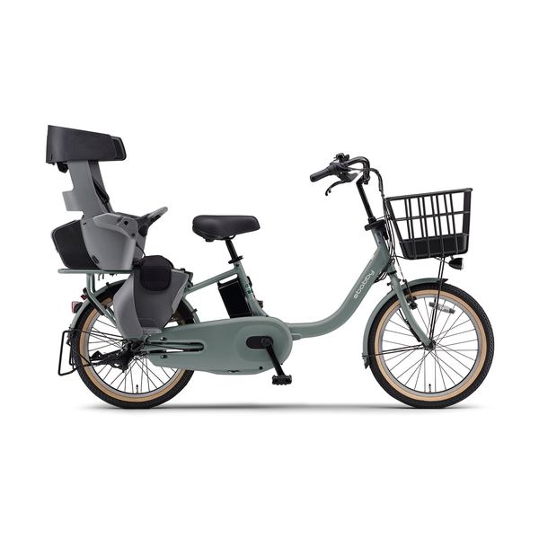 マットユーカリ