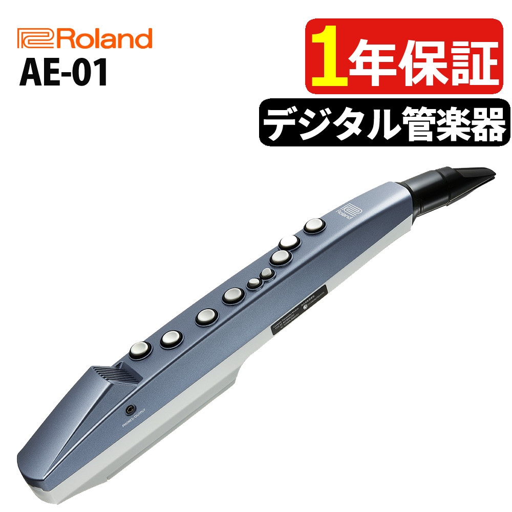 ローランド ウインドシンセサイザー エアロフォン ミニ AE-01 Roland Aerophone mini