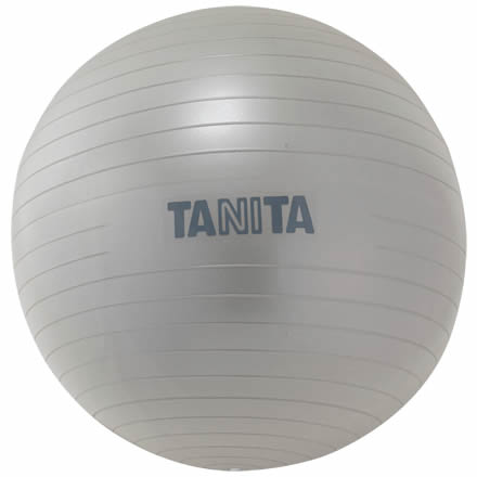 タニタ TANITA タニタサイズ ジムボール シルバー TS-962
