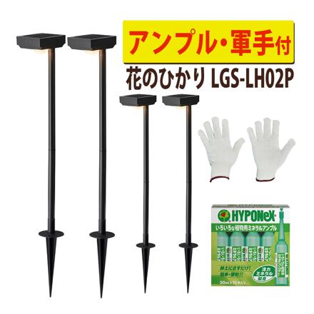 花のひかり基本セット×2