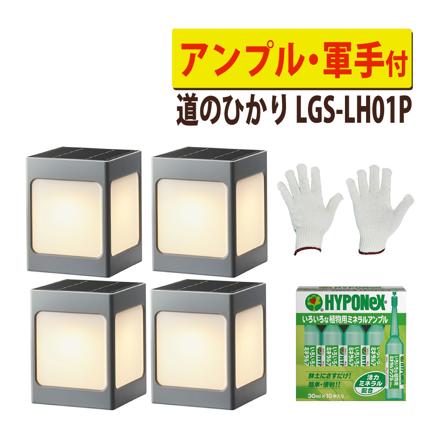 道のひかり 基本セット 2個 ＋ アンプル ＋ 軍手