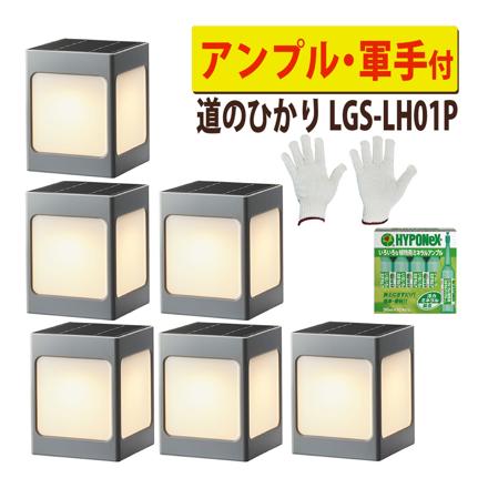 道のひかり 基本セット 3個 ＋ アンプル ＋ 軍手
