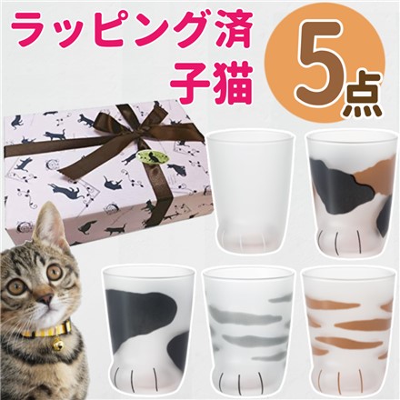 （猫柄ラッピング済）アデリア ここねこ 子猫 グラス 230ml 5種セット ミケ ＆ トラ ＆ ブチ ＆ ムジ ＆ サバトラ