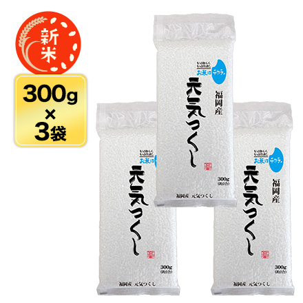 新米 白米 福岡県産 元気つくし 900g 特A評価 令和6年産